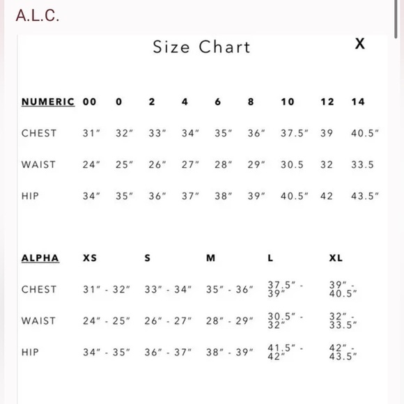 A.L.C. Roslyn Hearts Silk Sleeveless Midi Dress 0 - Picture 12 of 13